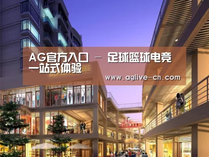 案例展示一(图1)
