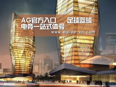 案例展示三