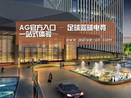 案例展示二