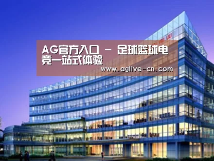 案例展示五