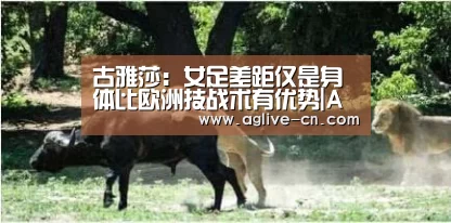 AG官网