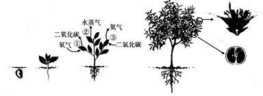 AG娱乐-
安徽:促进经济社会生长全面绿色转型(图4) AG体育