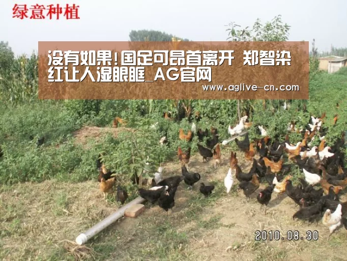没有如果!国足可昂首离开 郑智染红让人湿眼眶_AG官网(图2) AG体育