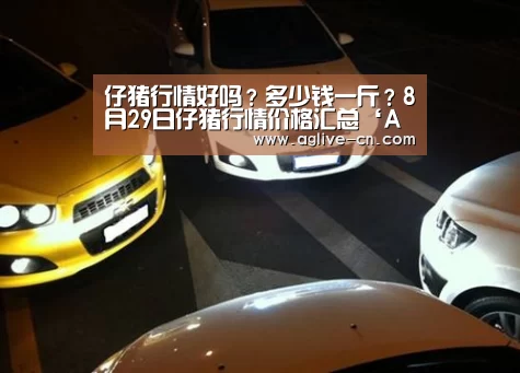 仔猪行情好吗?多少钱一斤?8月29日仔猪行情价格汇总‘AG娱乐’(图1) AG官方