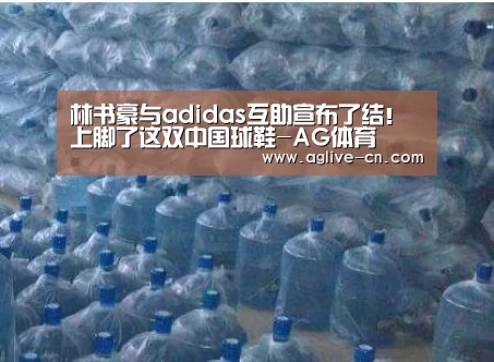 林书豪与adidas互助宣布了结!上脚了这双中国球鞋-AG体育(图1) AG官方