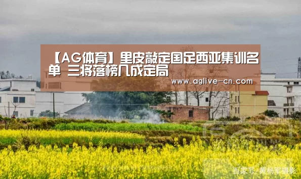【AG体育】里皮敲定国足西亚集训名单 三将落榜几成定局(图3) AG娱乐