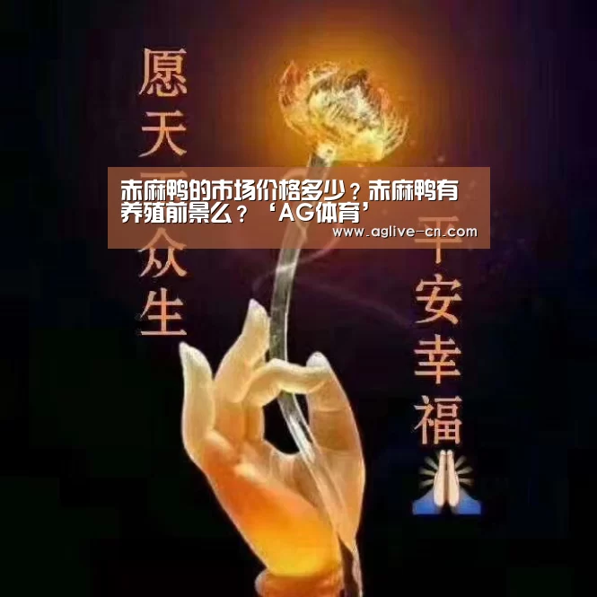 AG娱乐