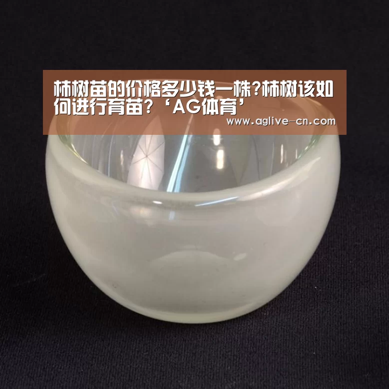 柿树苗的价格多少钱一株?柿树该如何进行育苗?‘AG体育’(图2) AG体育