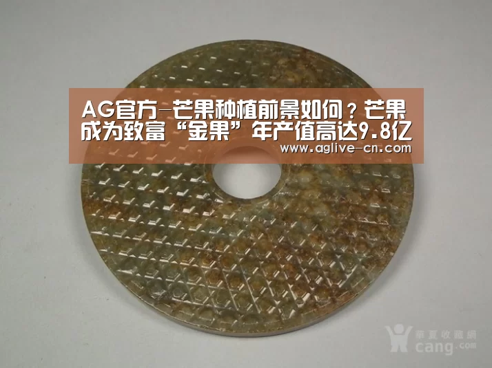 AG官方-芒果种植前景如何?芒果成为致富“金果”年产值高达9.8亿元(图3) AG官网