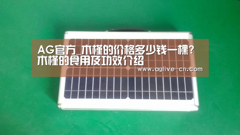 AG官方_木槿的价格多少钱一棵?木槿的食用及功效介绍(图1) AG官网