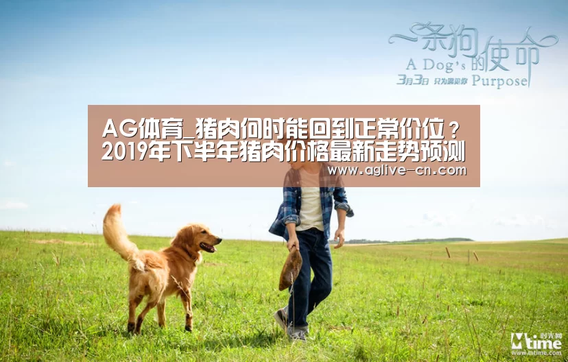 AG体育_猪肉何时能回到正常价位?2019年下半年猪肉价格最新走势预测(图2) AG娱乐