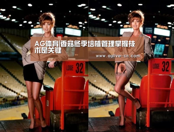 AG体育|香菇冬季培植管理掌握技术是关键(图3) AG体育