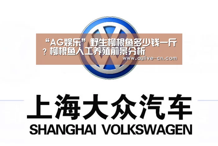 AG娱乐