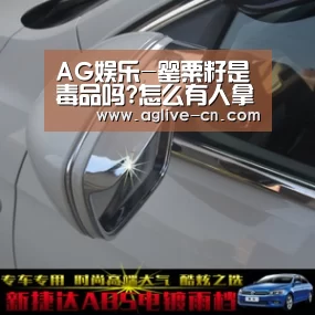 AG体育