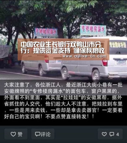 中国农业生长银行双鸭山市分行:提供资金支持 确保秋粮收购‘AG官网’(图1) AG娱乐