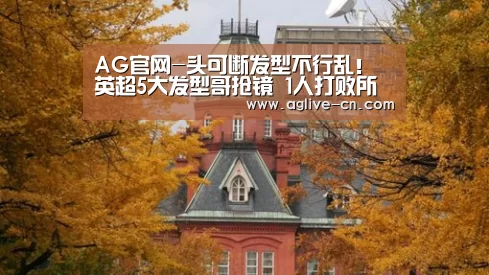 AG官方