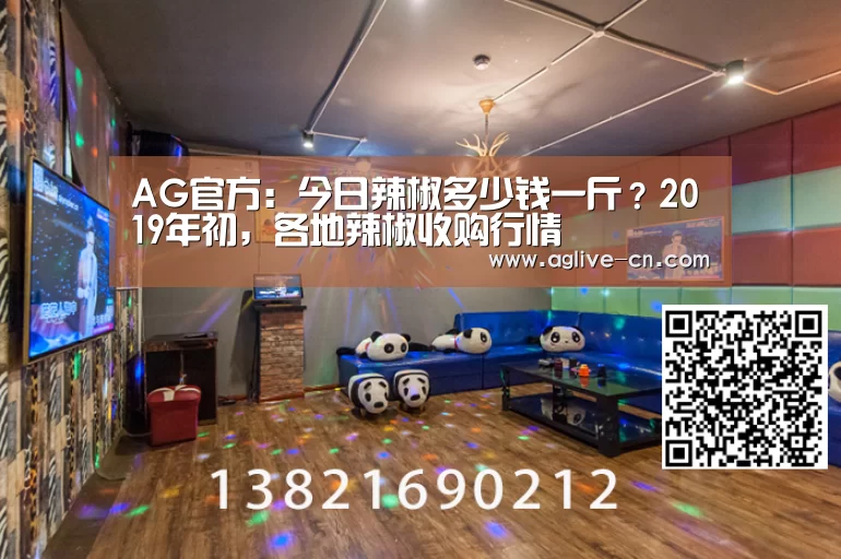 AG官方:今日辣椒多少钱一斤?2019年初,各地辣椒收购行情(图3) AG官方