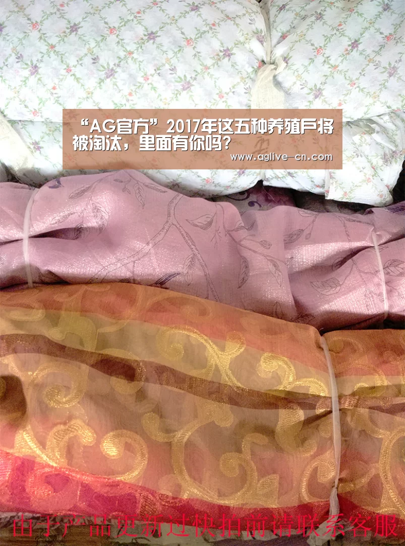 AG体育