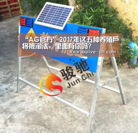 AG娱乐