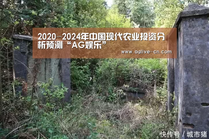 2020-2024年中国现代农业投资分析预测“AG娱乐”(图1) AG娱乐
